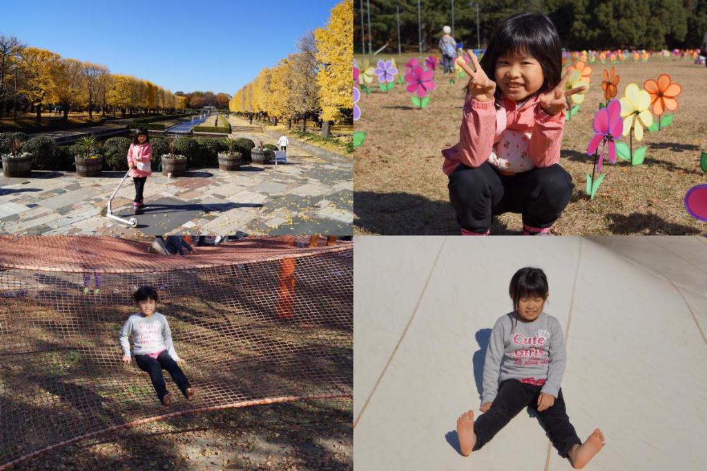 No.978 昭和記念公園で紅葉を観て来た！
